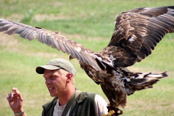 Killikus® Fotographie Killikus® Fotographie